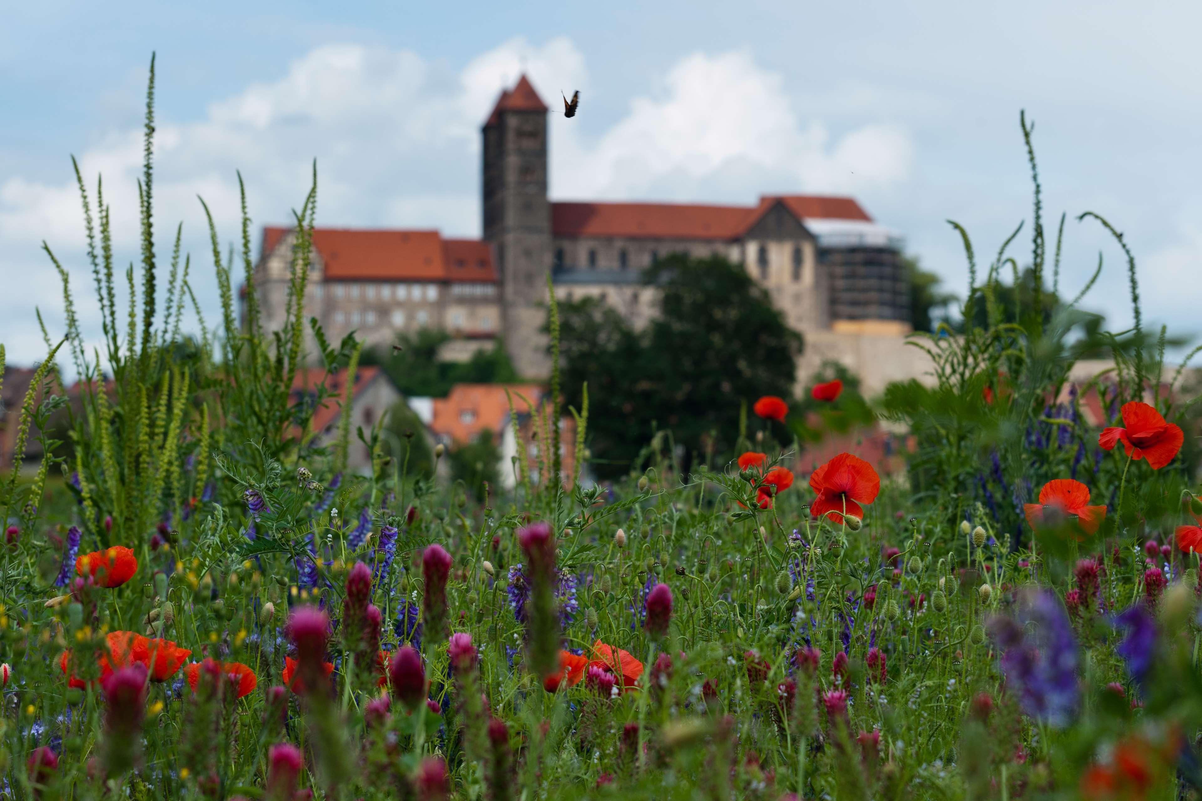 Best Western Hotel Schlossmuehle Quedlinburg Exterior photo